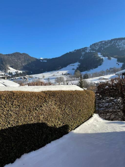 Charmant Studio + Jardin Vue Pistes Et Local Velo Praz-sur-Arly Buitenkant foto