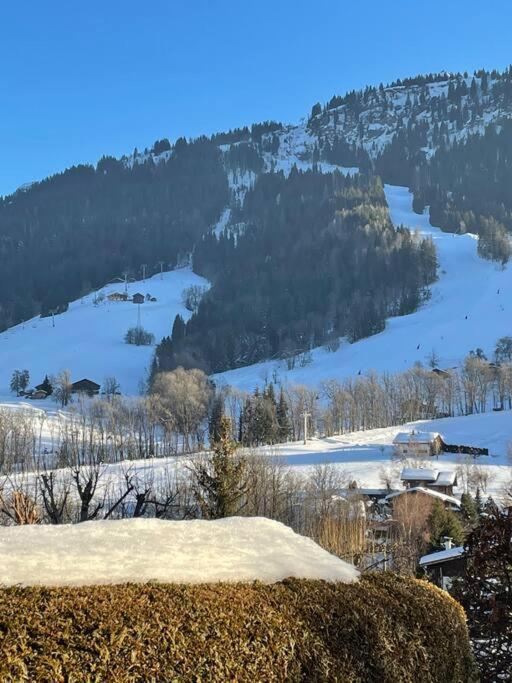 Charmant Studio + Jardin Vue Pistes Et Local Velo Praz-sur-Arly Buitenkant foto